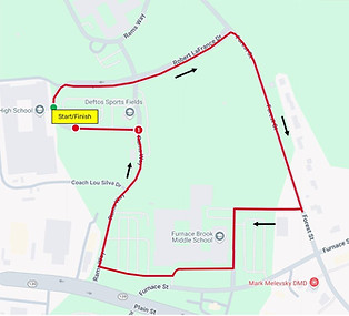 Run to the Rock photo 8