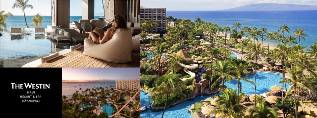 Maui Marathon and Half Marathon April 26, 2026 photo 5