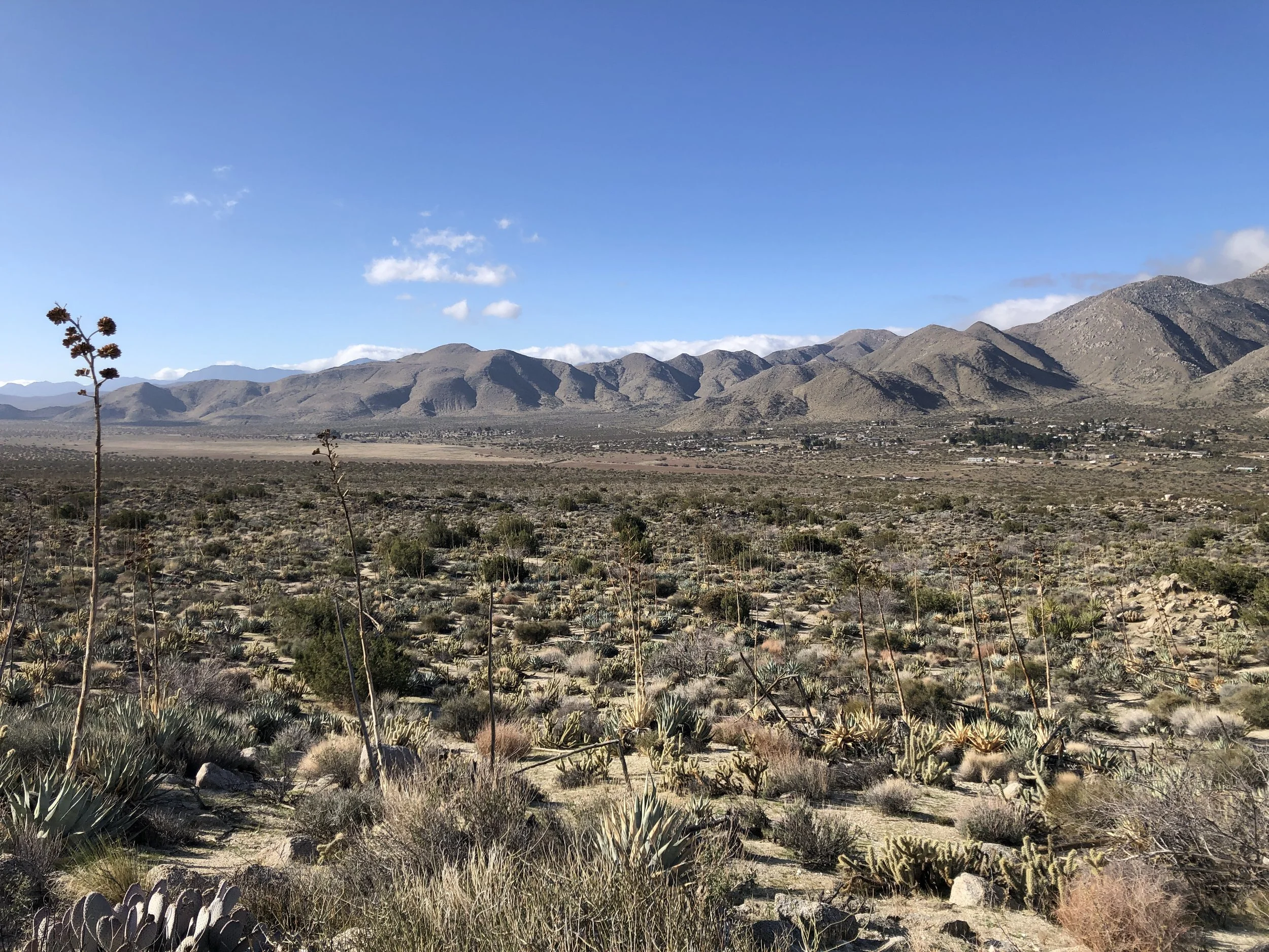 Old West Trail Runs photo 8