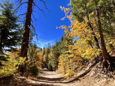Rim Nordic XC MTB Race Series #2 photo 3