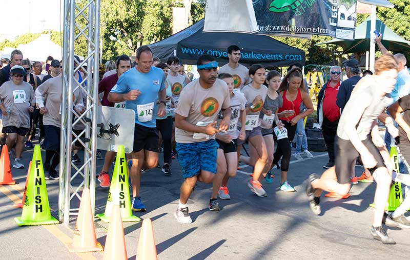 Delta Harvest Run photo 3