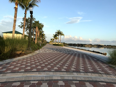 Fort Myers Half Marathon & 5K photo 1