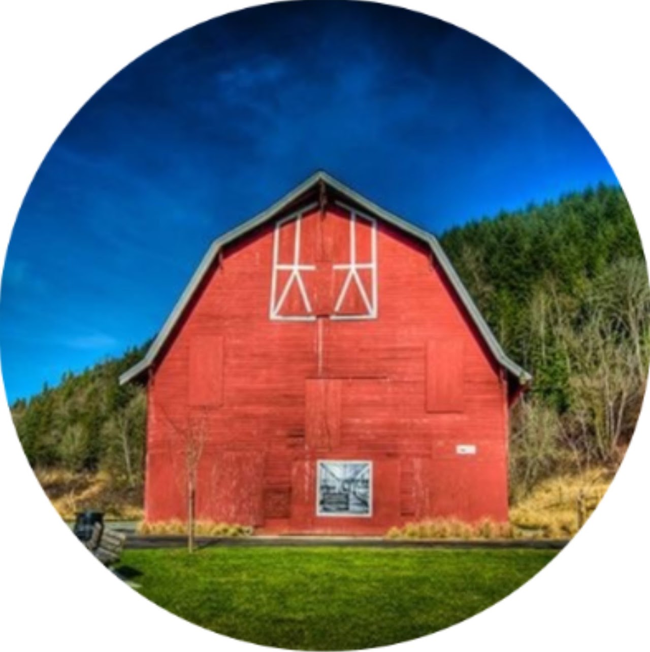 Whitehorse Half Marathon photo 4