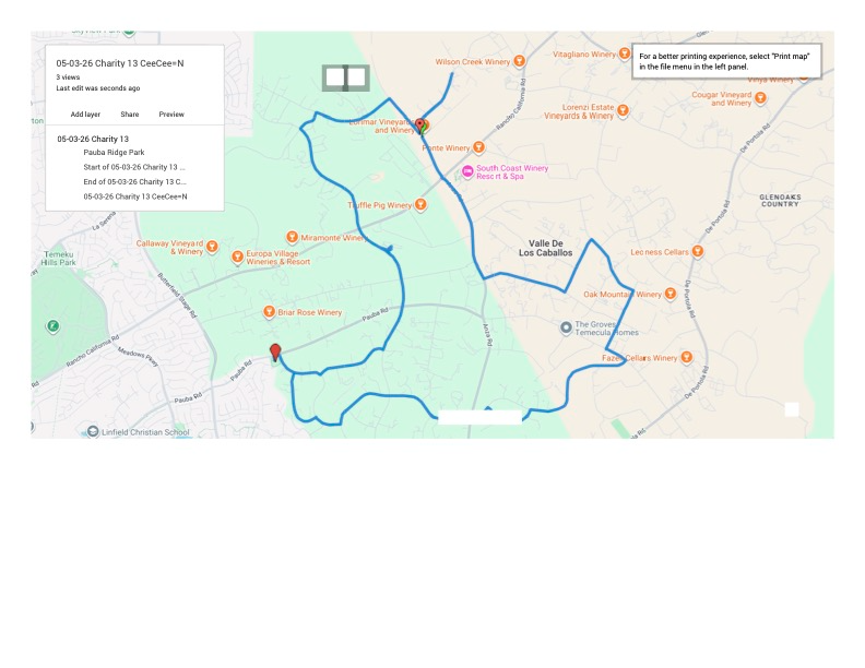 Cycle Through the Vineyards photo 3