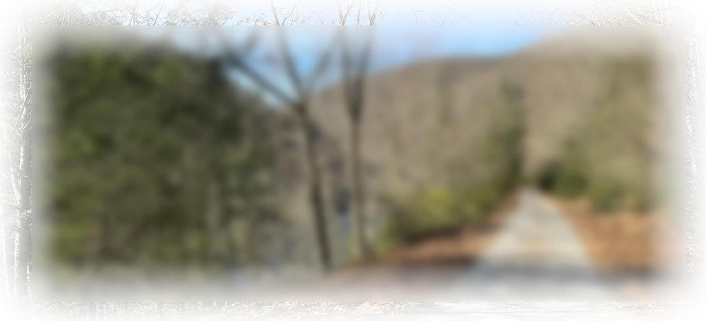 WICKED FAST MARATHON & HALF MARATHON POCONOS photo 11