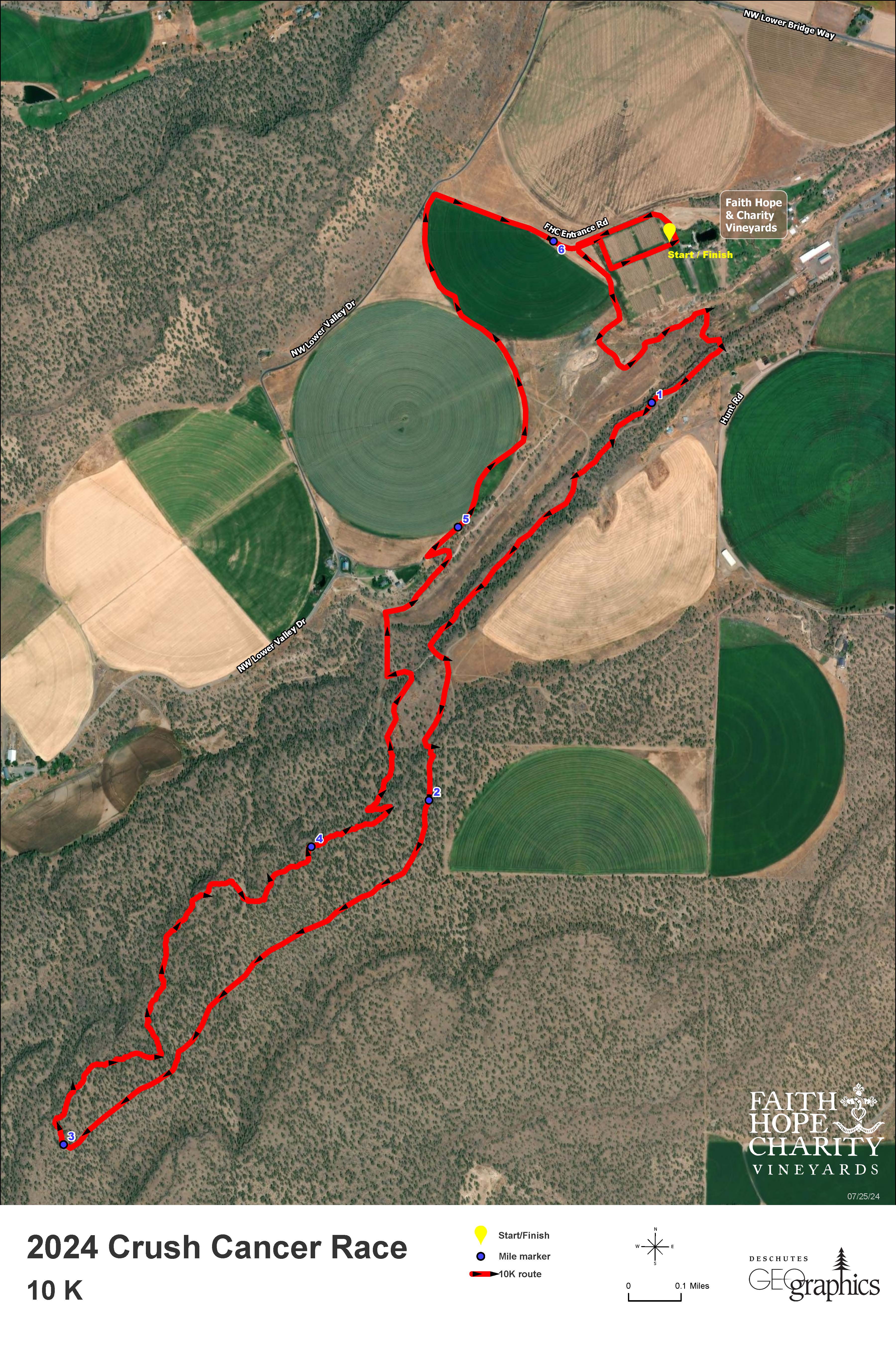 Crush Cancer Run photo 2