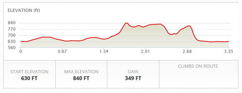 The Driftless Half Marathon photo 4