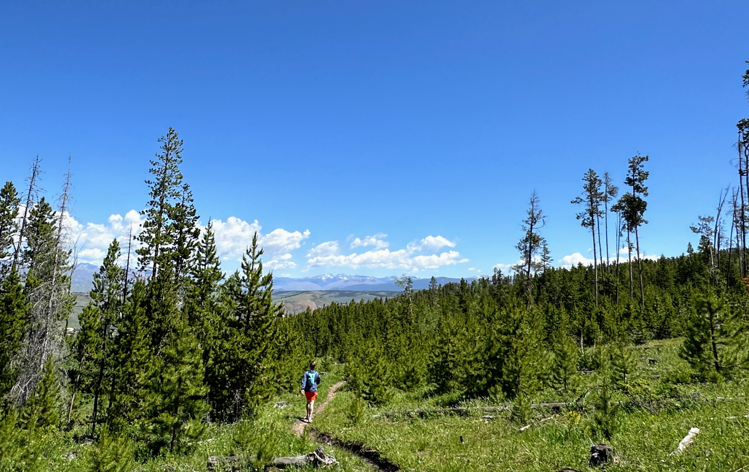 Summits Trail Runs photo 4