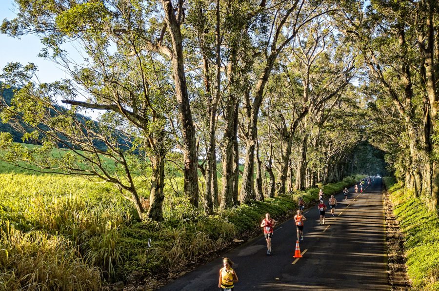 Kauai Marathon and Half Marathon photo 3