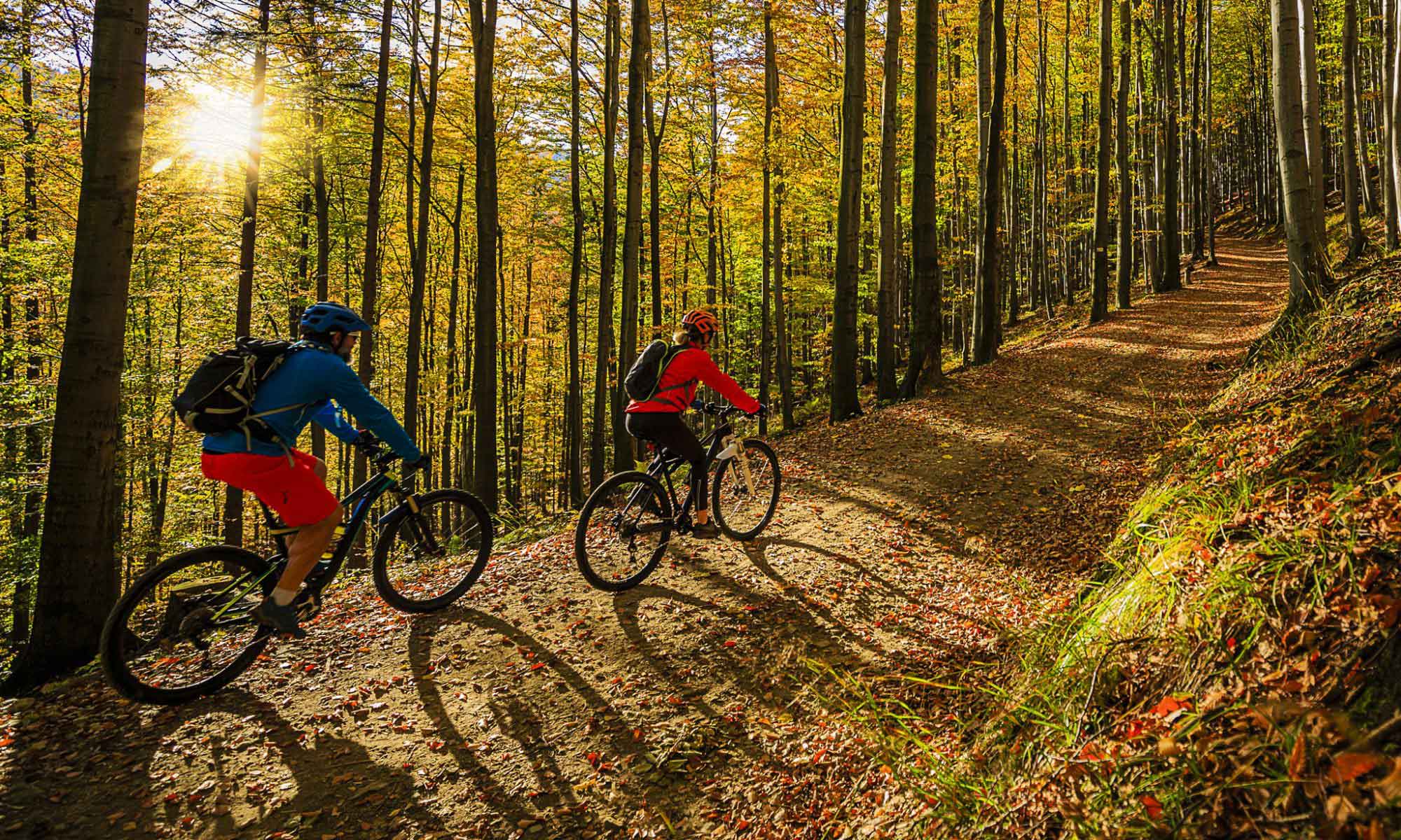 PIT ★ XCO | Presented by Maple Hill Auto Group photo 1