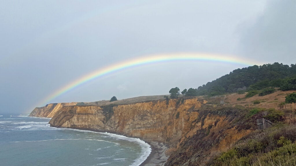Noyo Headlands Race photo 8