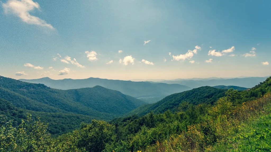 UltraTrax Wintergreen photo 9