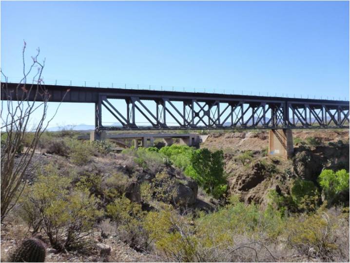 AZT Oracle Rumble photo 9