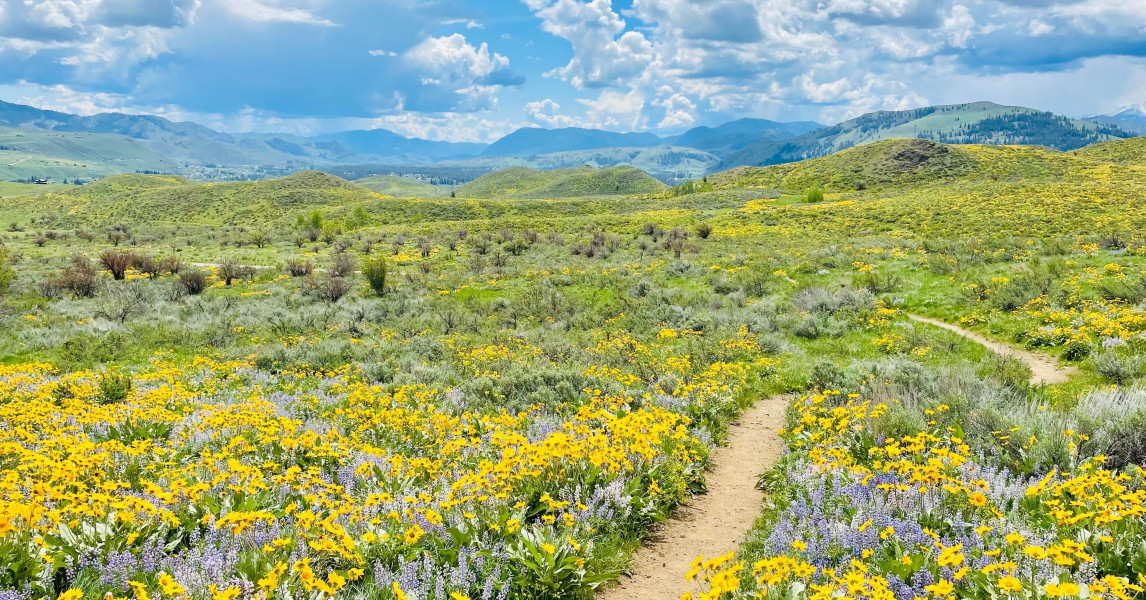 Sunflower Trail Marathon photo 7