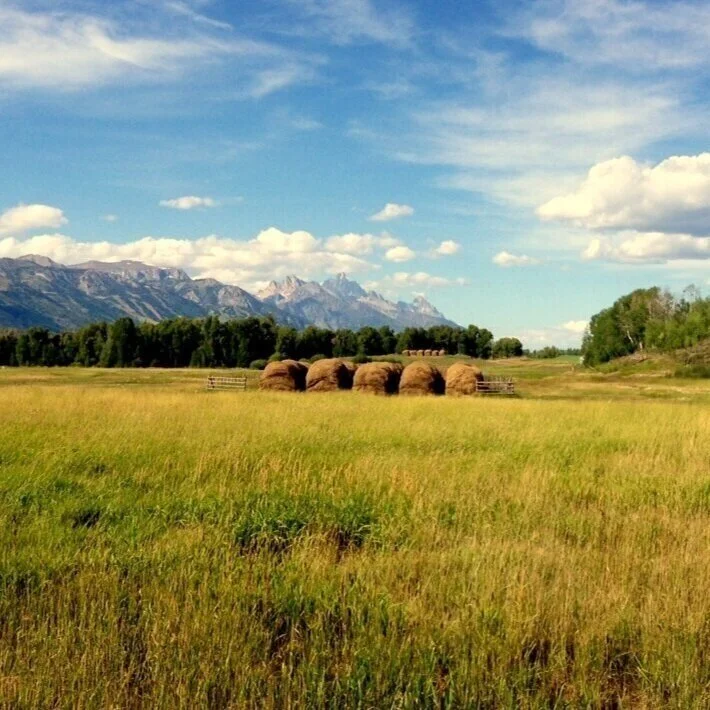Jackson Hole Marathon,  Hole Half Marathon, Jackson Hole Quarter Marathon photo 6