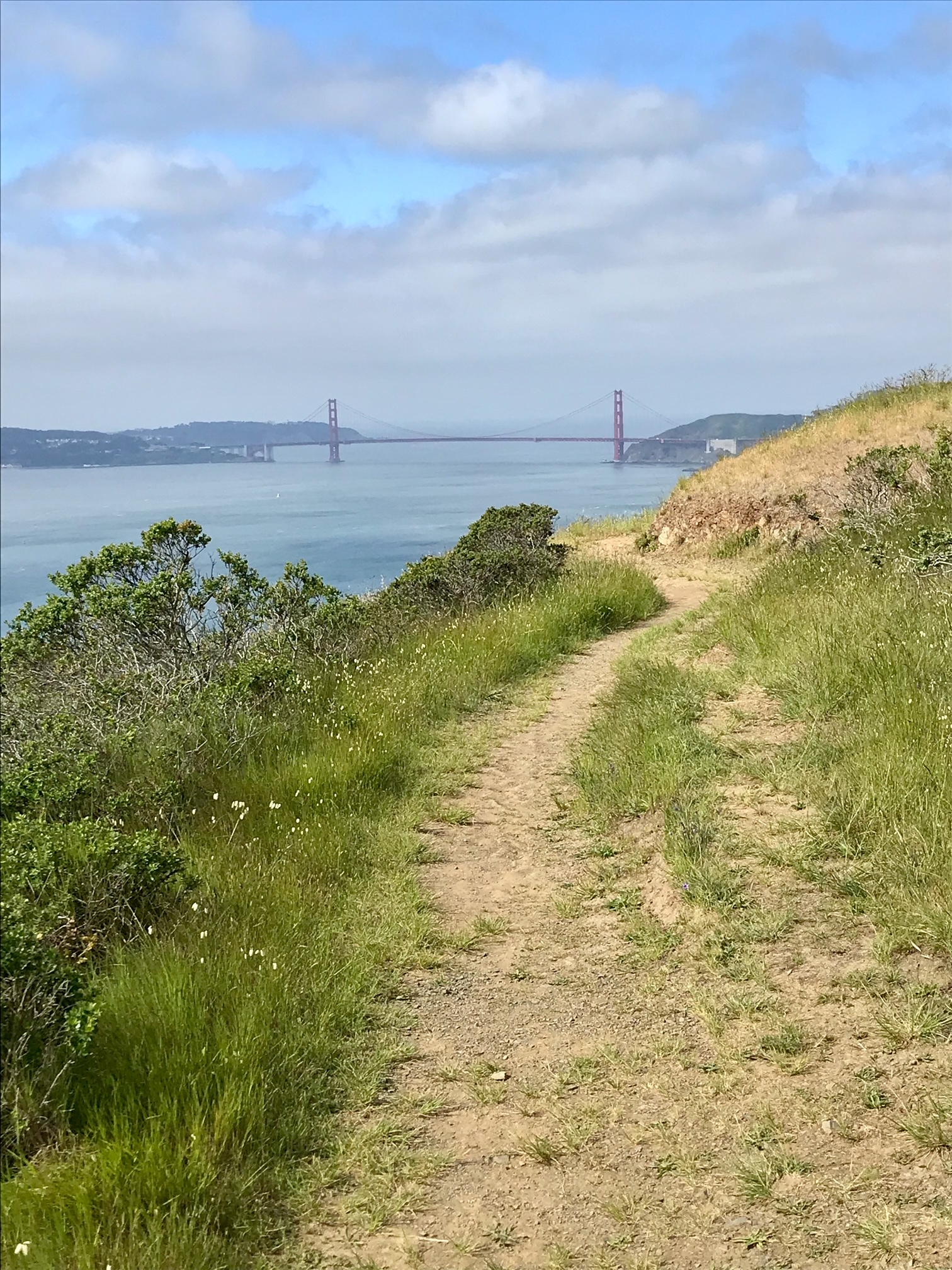 Hark the Herald Angels Half Marathon photo 5