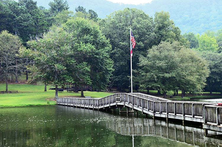 Twisted Ankle Trail Race photo 5