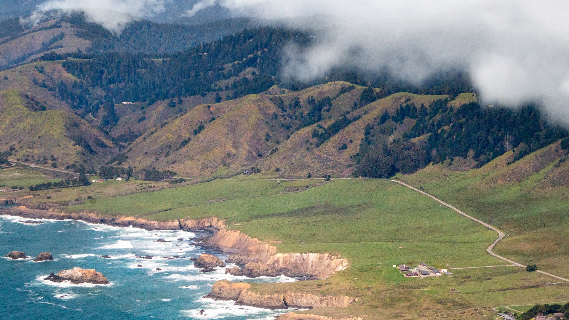 Noyo Headlands Race photo 6