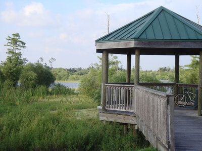 Naples Distance Classic photo 7