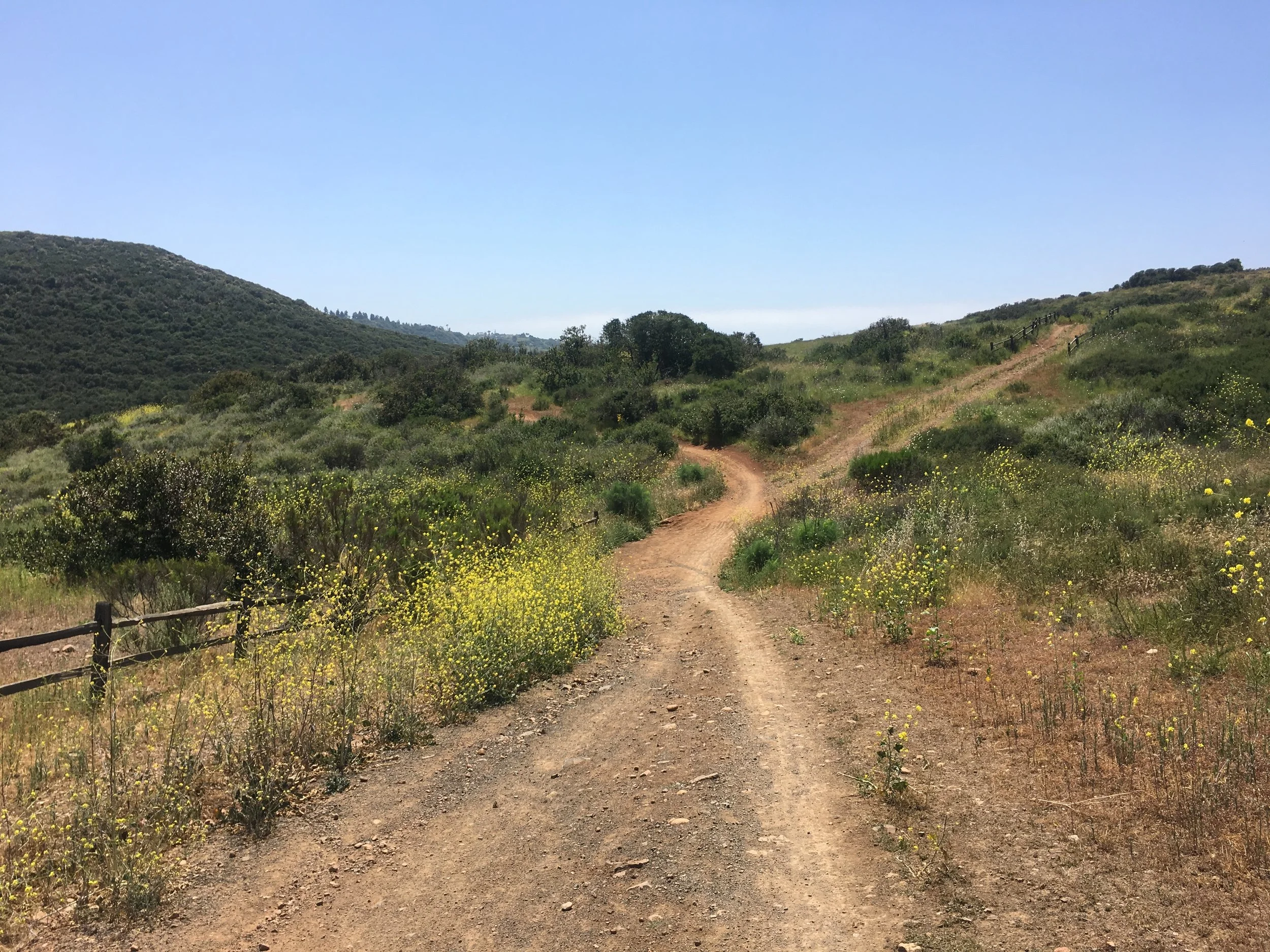 The Ranch 50K/Half Marathon photo 6