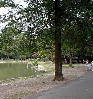 Zip Code 07662 Marathon photo 3