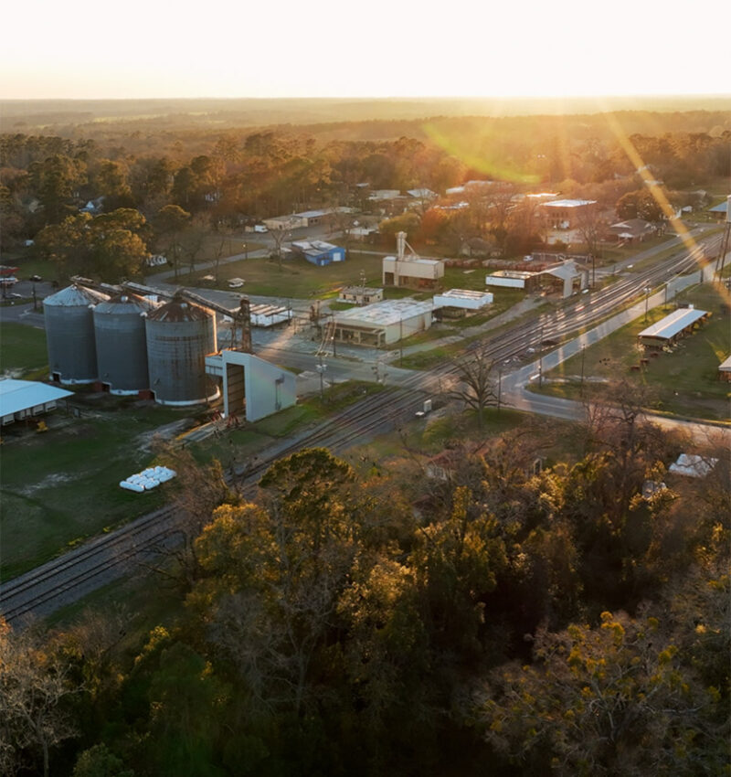 Boston Mini-Marathon & Festival photo 3