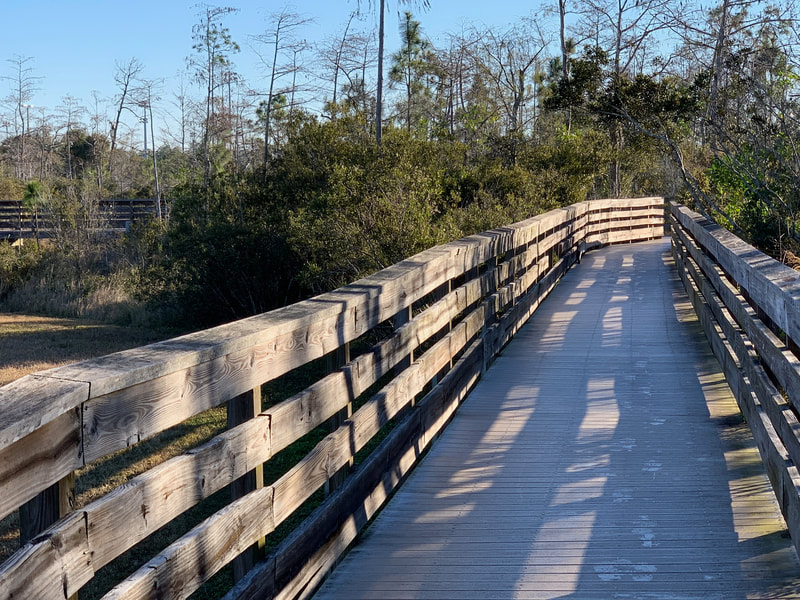 Naples Paradise Coast Half Marathon photo 3