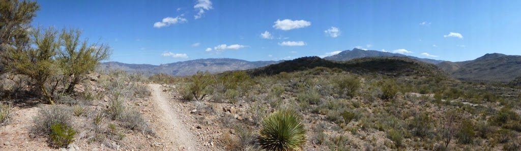 AZT Oracle Rumble photo 8