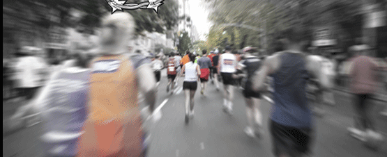 Great Land Run photo 1