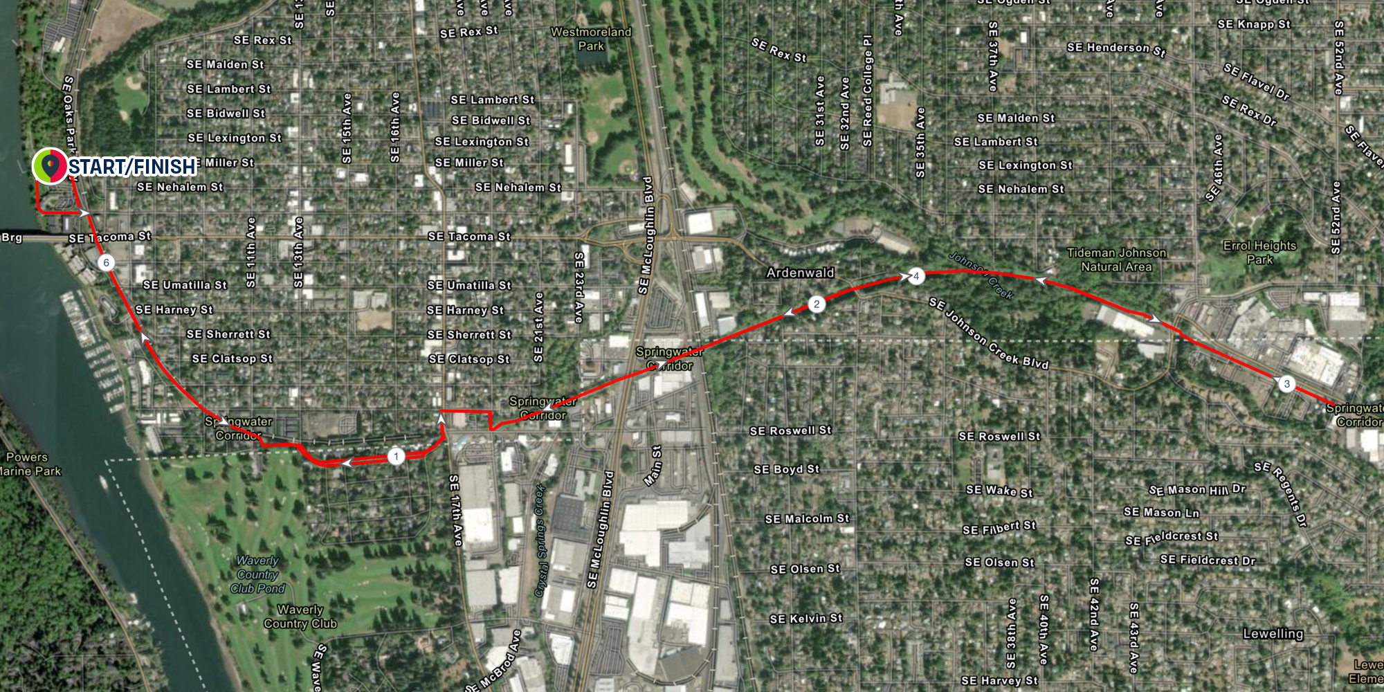 Grateful Dad photo 4