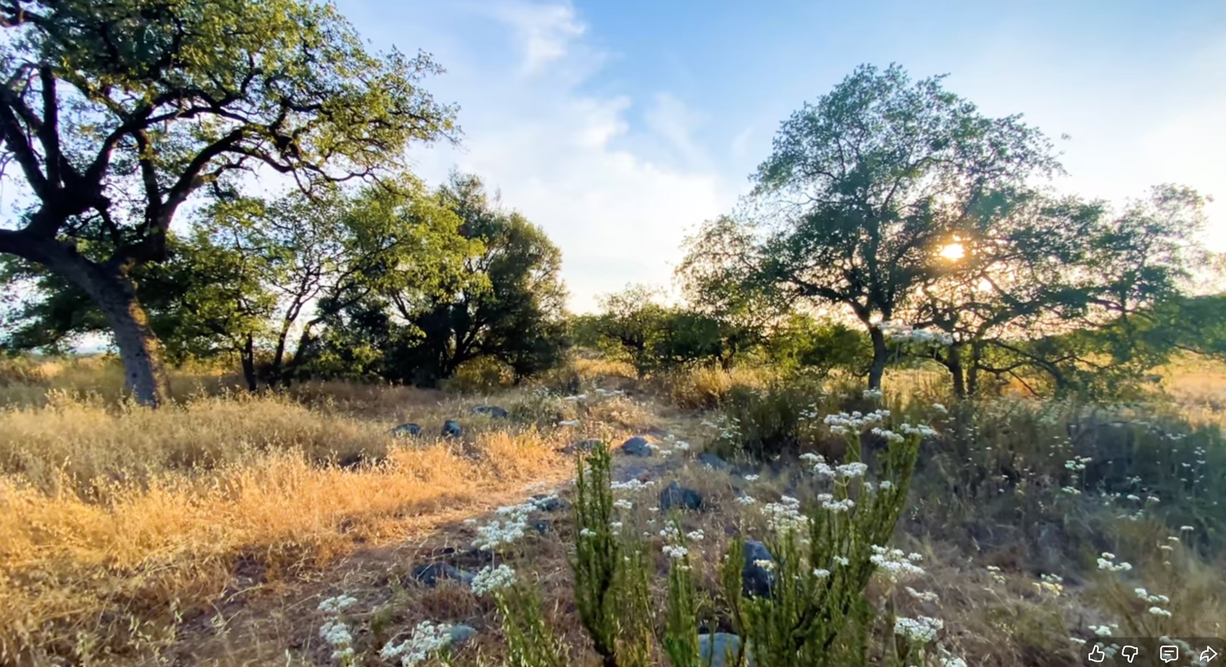 WICKED FAST MARATHON & HALF MARATHON SAN DIEGO photo 10
