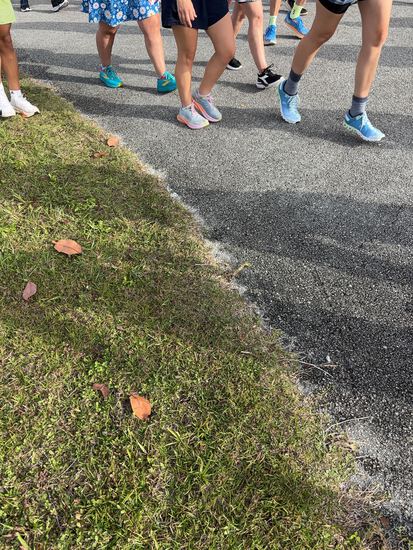 Medal Madness 5K, 10K, & 13.1M at Homestead, FL (26) photo 3