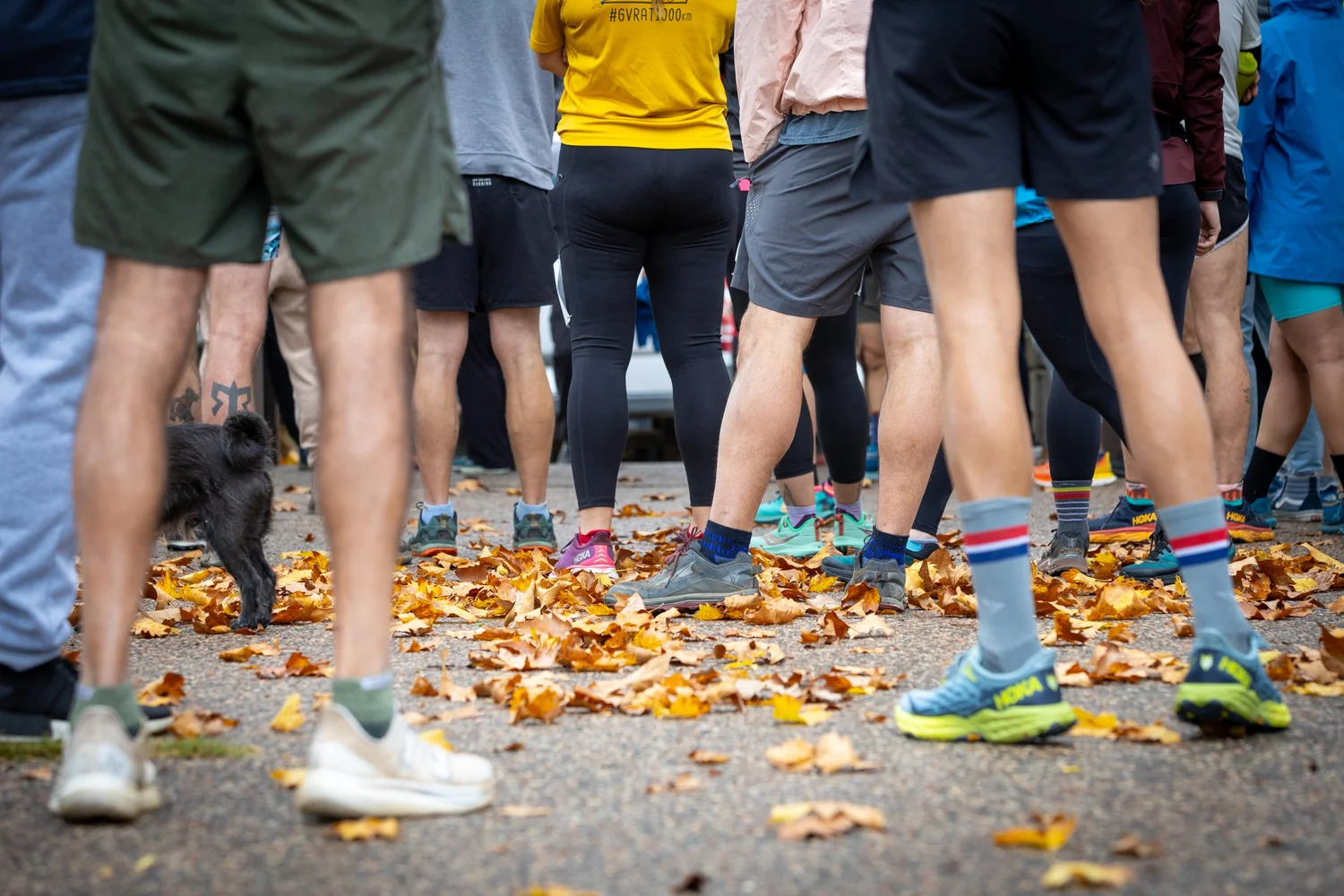 Wild Rose Half Marathon & 5K photo 8