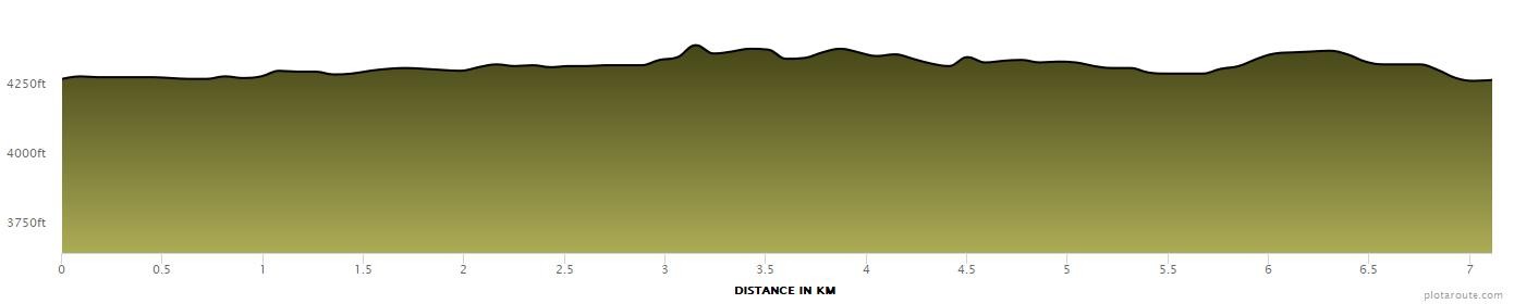 Bizz Johnson's Southside Scramble photo 8