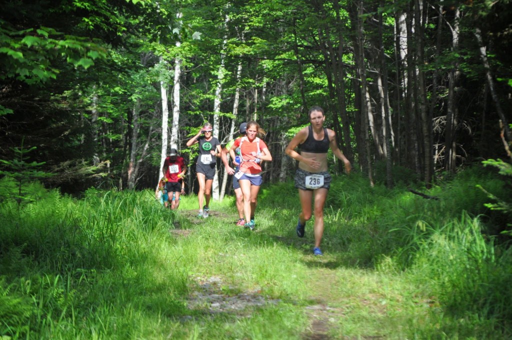 Dandelion Run photo 4