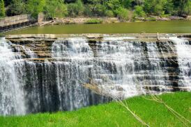 Fleet Feet Rochester Half Marathon | 5K | Kids 1/2 Mile photo 9