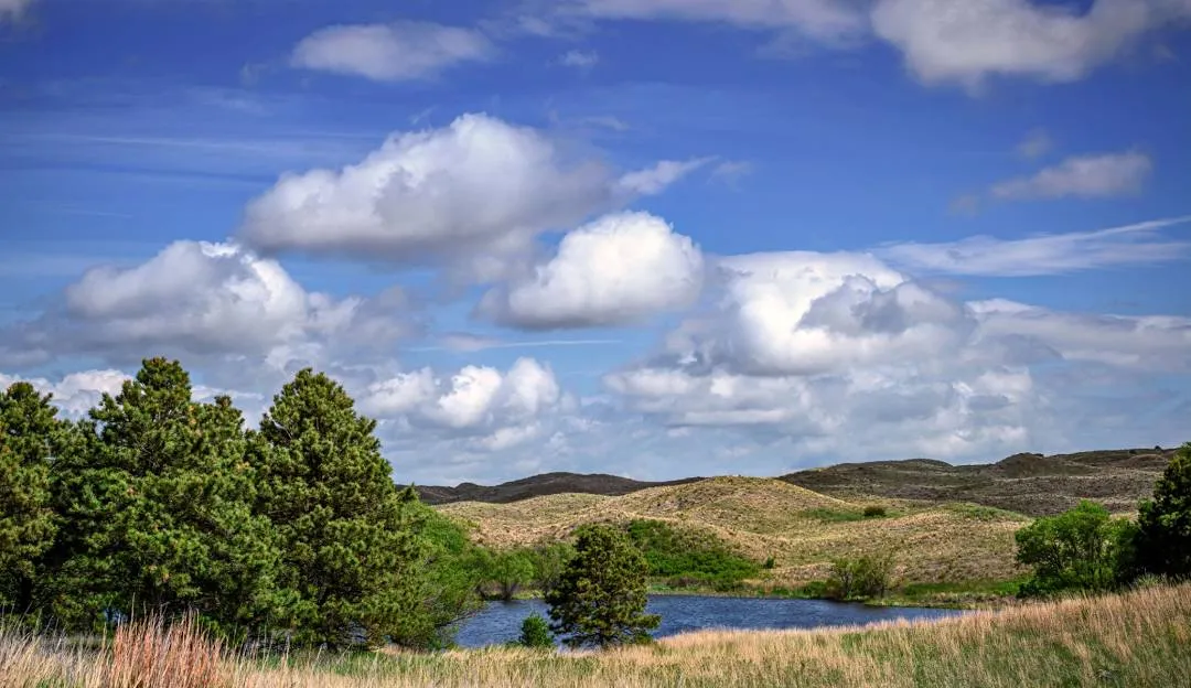 Valentine Marathon photo 6