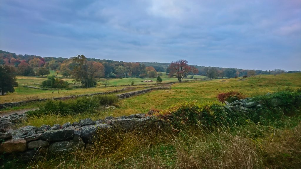 Pocantico Hills Races photo 7