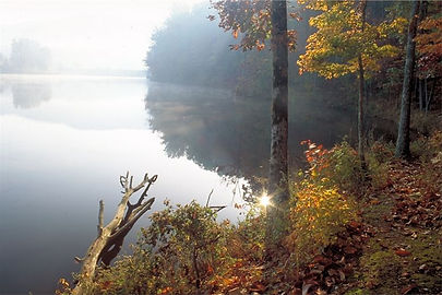 Twisted Ankle Trail Race photo 6