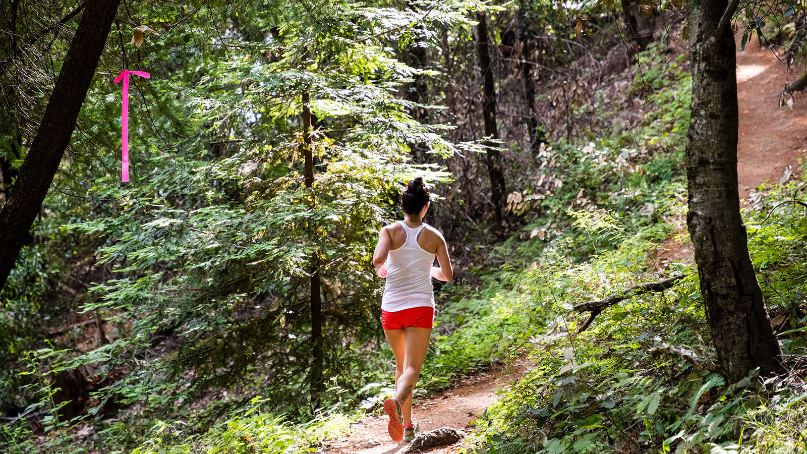 Trail Quake Half Marathon photo 6