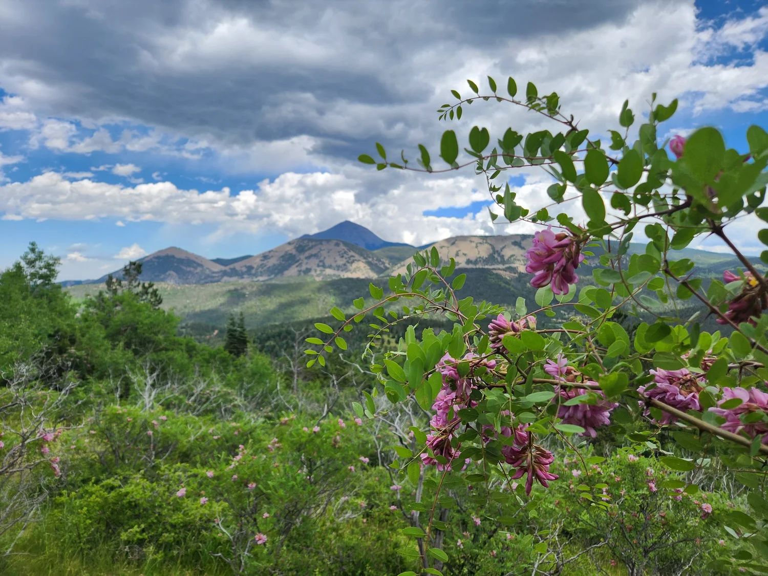 WILD Wahatoya Runs photo 6