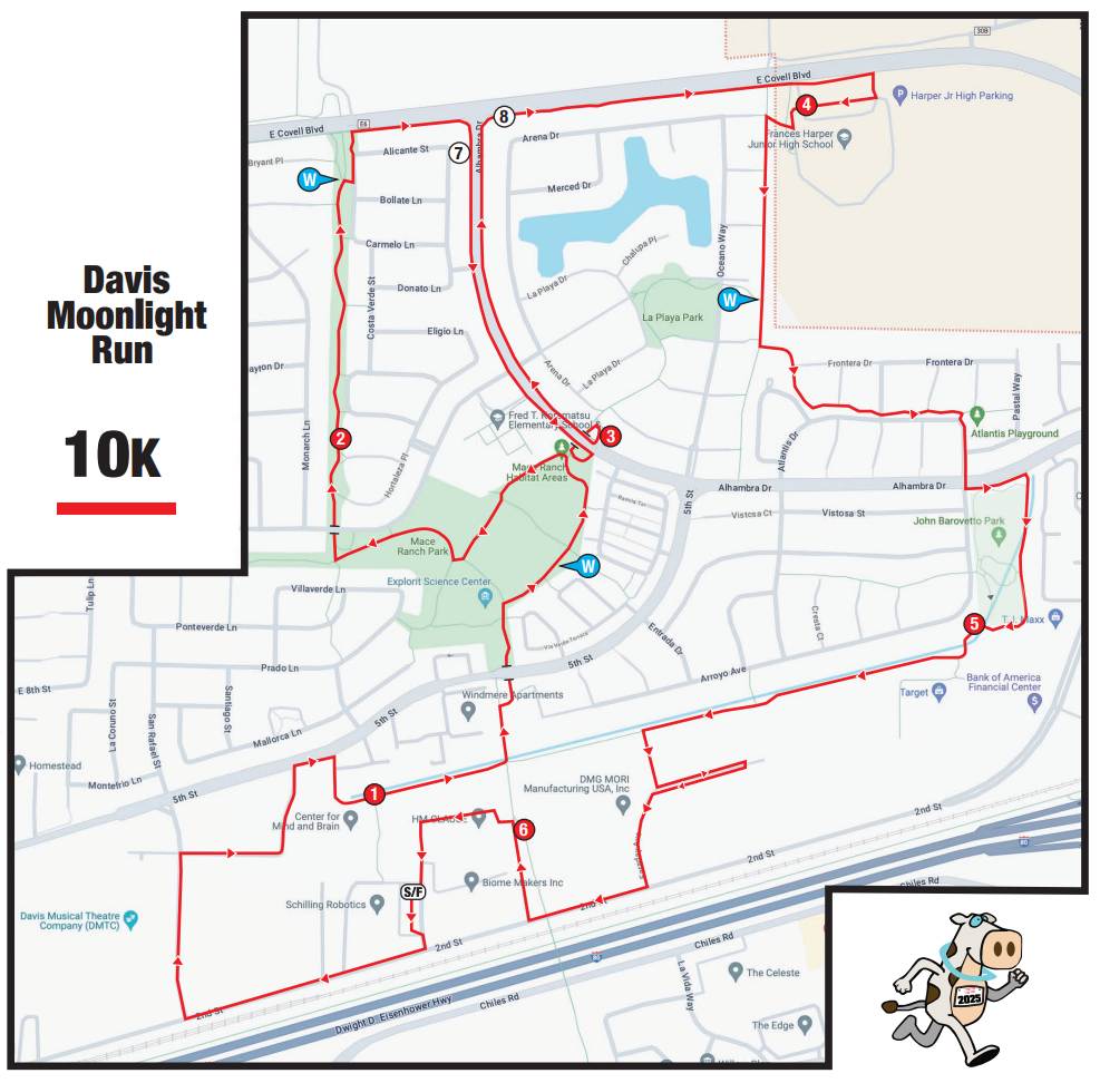 Davis Moonlight Run photo 7