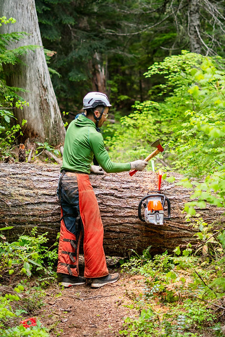 Alpine Solstice photo 4