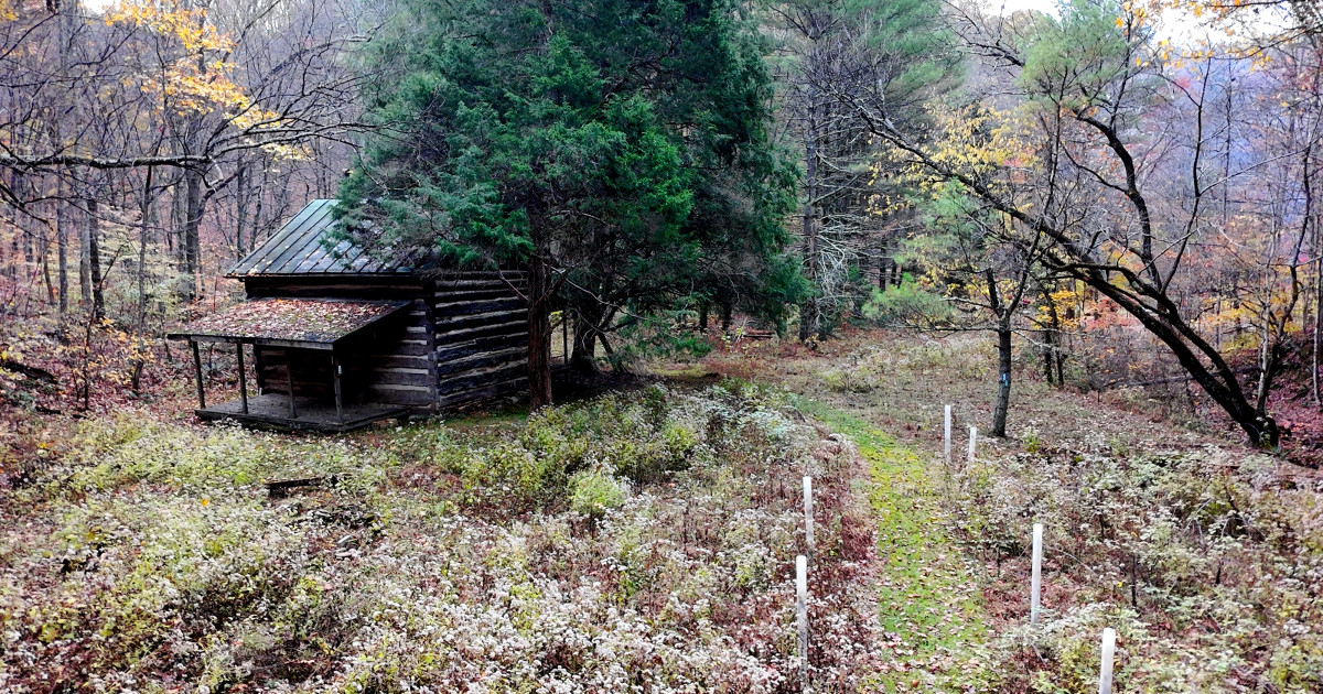 Buckeye Trail Blue Blaze Festival - Half Marathon, 10K, 5K Run, Hike and Backpack photo 4