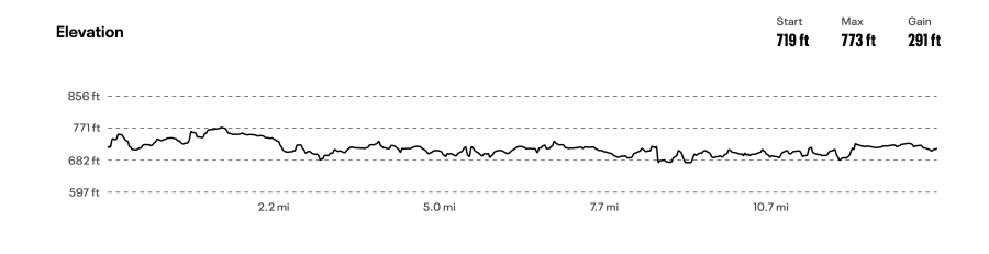 Christmas in July Half Marathon and 5K (Chicago area) photo 3