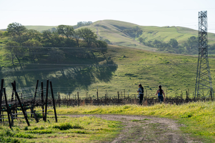 Livermore Valley Half Marathon photo 2