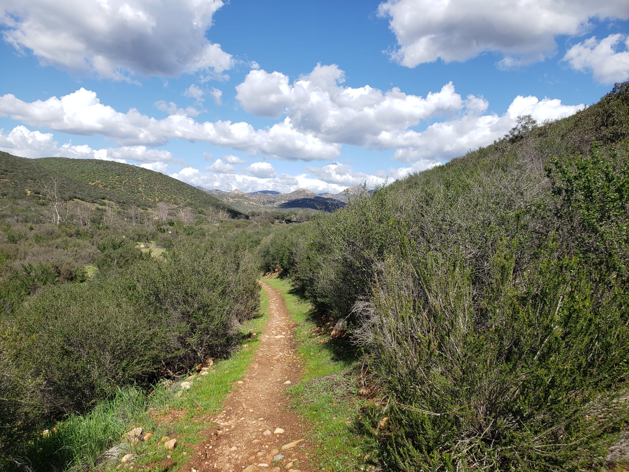 Sycamore Canyon Trail Race photo 13