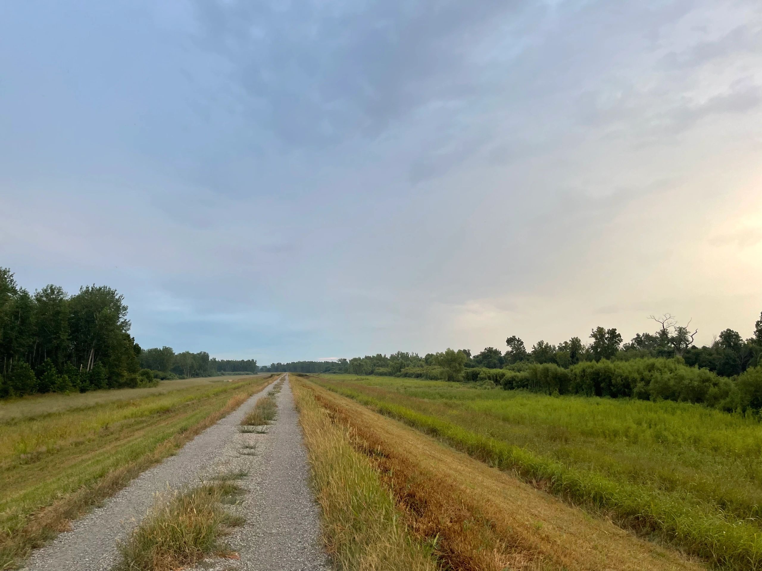 Show Me Your Free State Marathon and Ultra photo 1