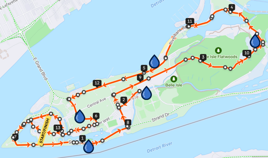 Detroit Women's Half Marathon, 10K, and 5K: Women Run the D Run/Walk photo 3