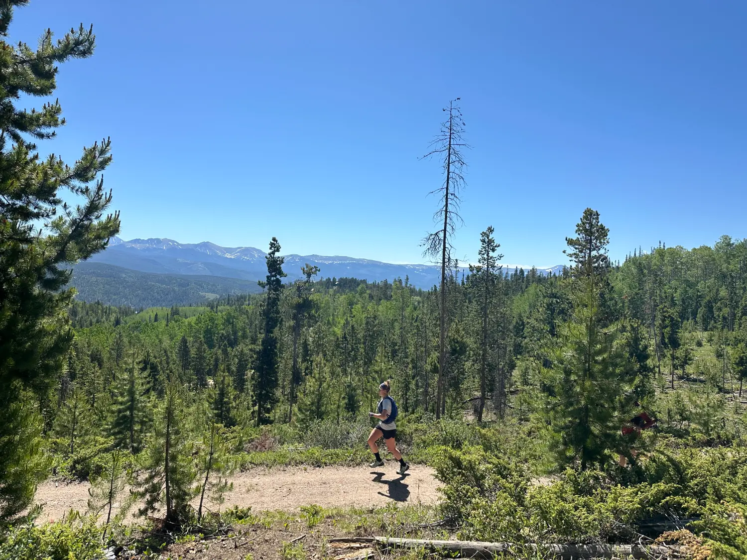 Summits Trail Runs photo 6
